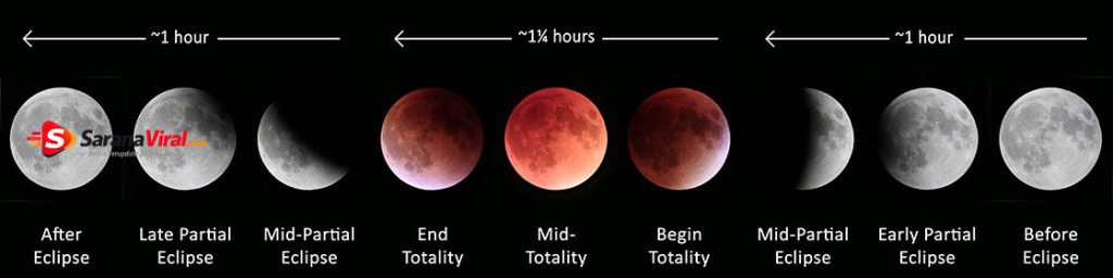 Tahapan Gerhana Bulan Total 3Maret2026 dari awal hingga totalitas
