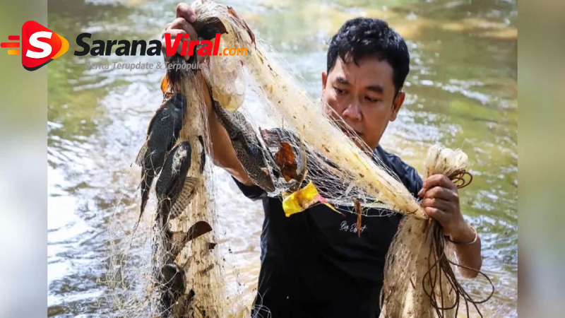 proses pemusnahan ikan sapu-sapu dengan dikubur