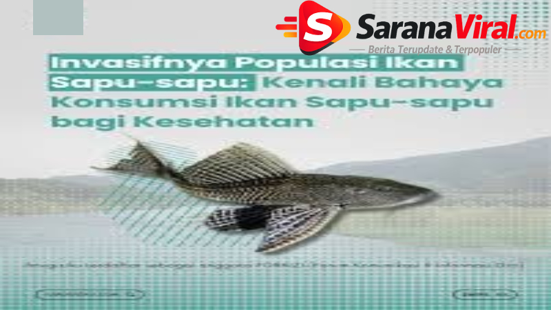 risiko kesehatan konsumsi ikan sapu-sapu